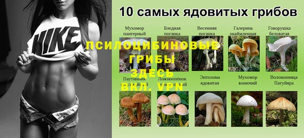 соль курить ск Володарск